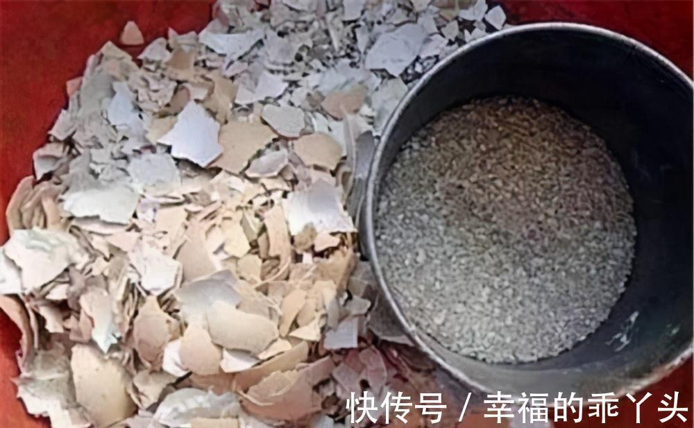 养花法宝别到处找了，在厨房就有三种，一种比一种肥效强