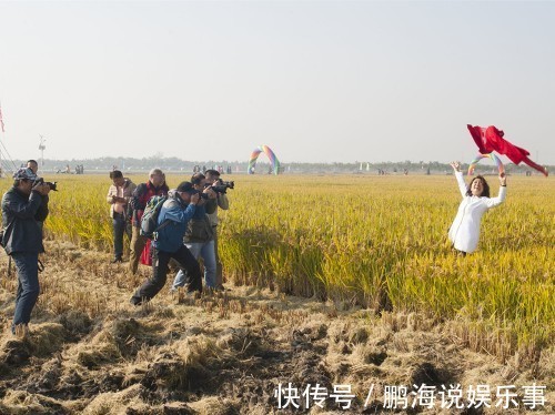 林夕|送儿子到乡下后,才知道孩子玩得有多快乐,网友:可怜奶奶家的鸡