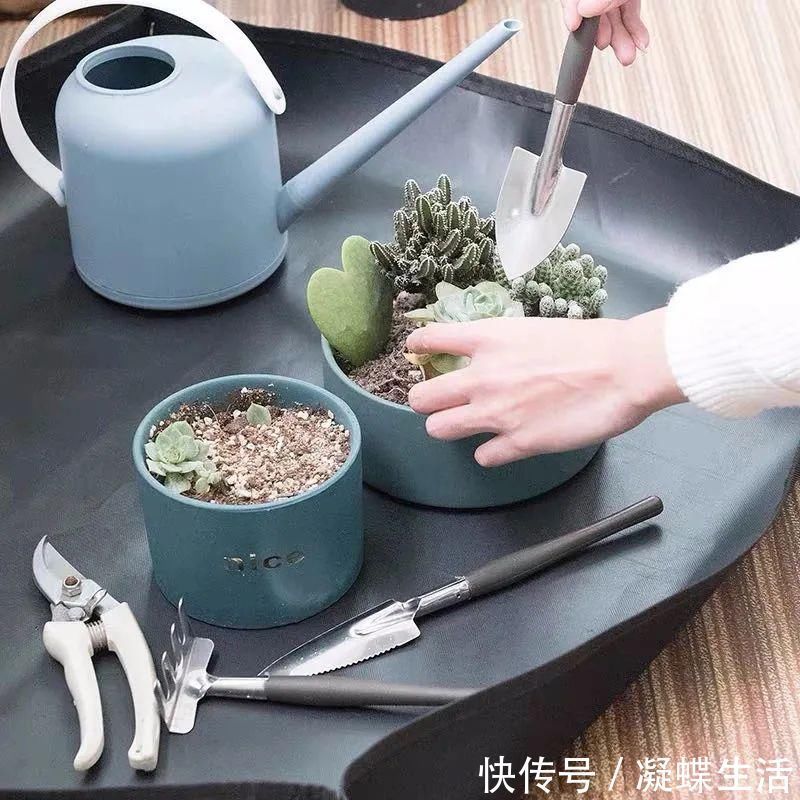 煤渣|换盆时,花盆里垫上这5种小东西,透水又透气,再也不怕烂根啦