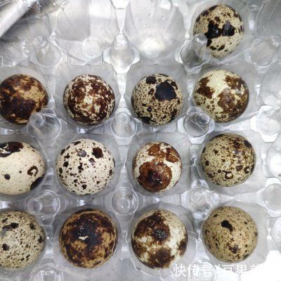 裙带菜豆腐汤|用裙带菜豆腐汤 可以勾住家人的胃