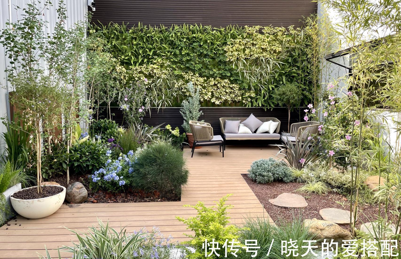 治愈系|小空间庭院花园,正确的绿植搭配技巧,让小院落变身治愈系小花园