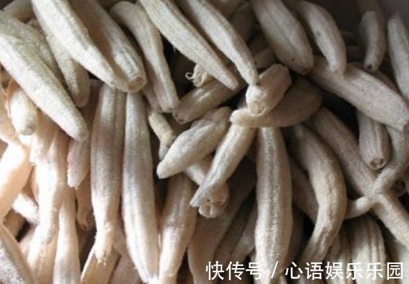 洗碗布|农村总拿它当洗碗布,却不知“功效”堪比冬虫夏草,了解一下