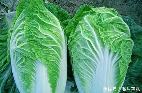 白菜搭上此物变身为“养生高手”,冬天经常吃点,调理多种病