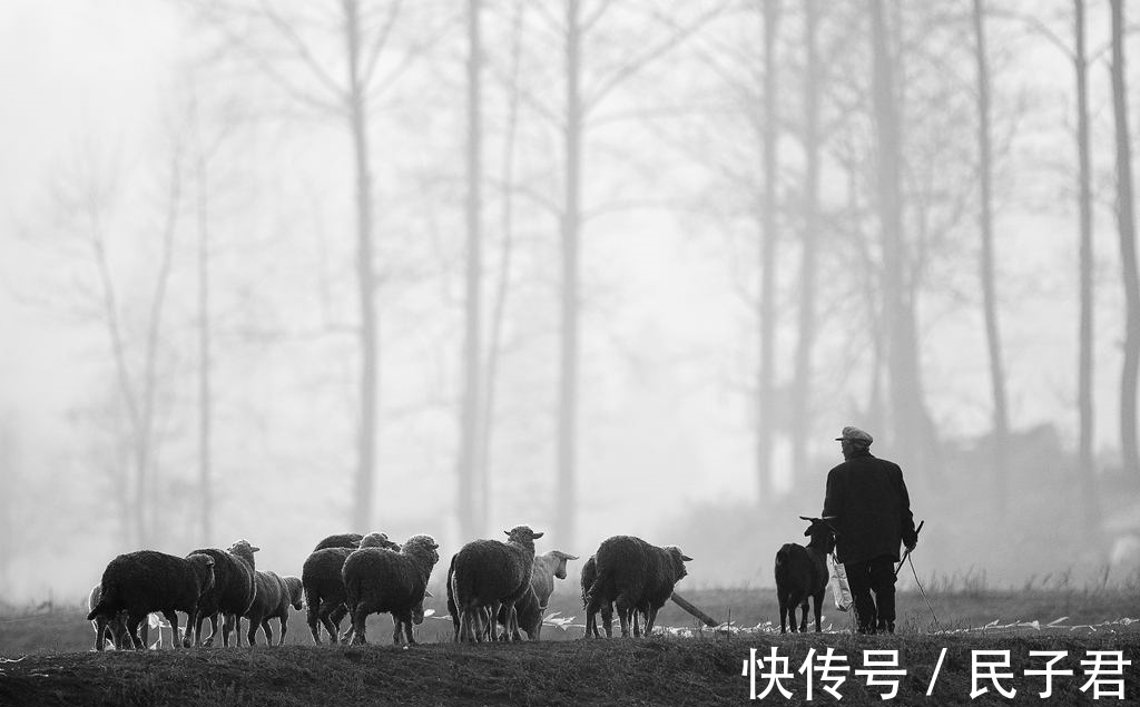 2012世界末日$诺亚方舟是传说?放羊倌发现奇怪“羊皮卷”,专家鉴定后引起轰动