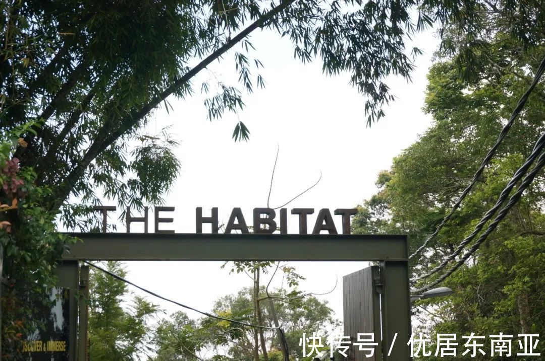 宝藏|你以为槟城只有乔治市？点开发现4个宝藏景点