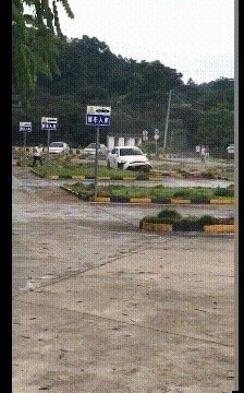 |搞笑GIF:怎么不知道这是啥,但勾起了我生命最初争斗的场景