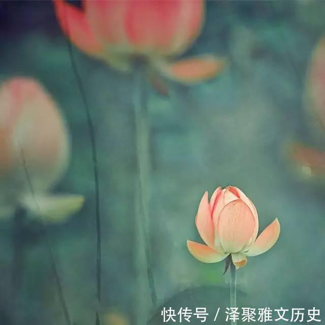 笙簧$南唐中主李璟的千古名篇,第一句便惊艳世人