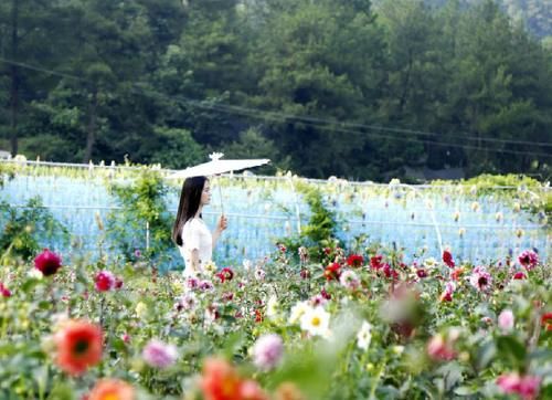 住树屋、观云海、挑战崖壁秋千…… 五华山网红耍事多