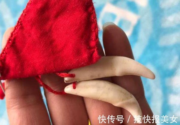 孩子|高智商的孩子,一生下来就有这4个特征,连父母也跟着增“福气”