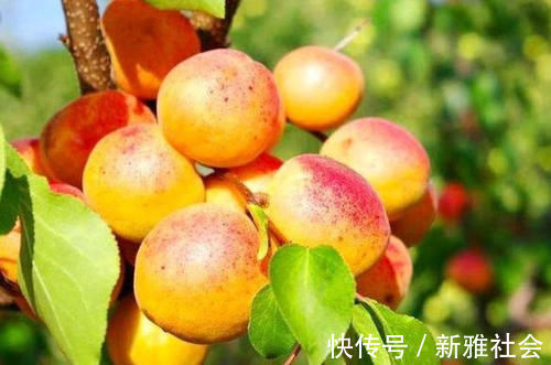 皱纹|对身体很有营养的三种食物，值得天天吃，美容养颜，去除皱纹