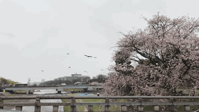 高估|知名男主持1组饭局私照流出，打脸多少人：不要高估你的人脉