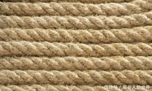 办法|古代没有卫生纸,各国用什么办法清理法国的受不了,日本最奇葩