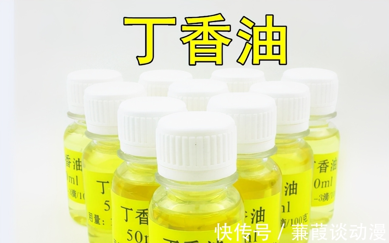 蚯蚓经过这样简单加工，垂钓效果是真的好！