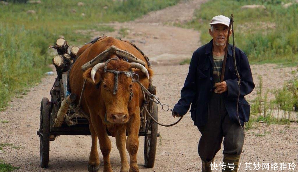 大臣|古代奇葩5大官职,“专操大臣”“囧卿”“贼曹”?都有何职能!