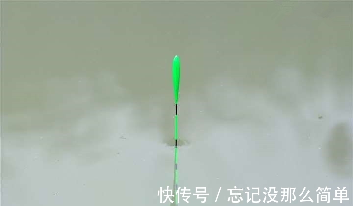 鱼口杂乱无实口，调低钓高这么调，马上竿竿都是死口