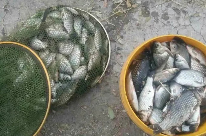 不得不承认:知道这两种“钓技”的人,那才叫一等一的高手