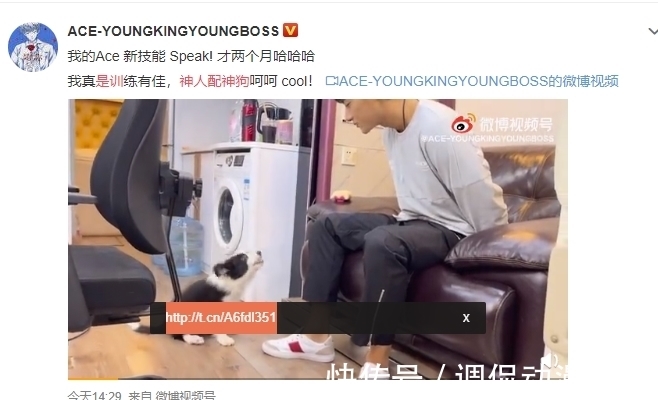 隔壁|黄子韬训成神狗，隔壁宋亚轩投来羡慕的目光