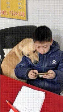 |搞笑GIF:怎么不知道这是啥,但勾起了我生命最初争斗的场景