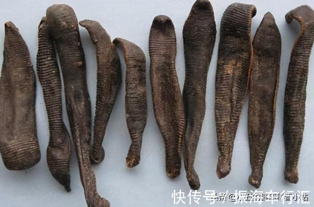 中成药|既能抗凝又能降脂稳定斑块?聊一聊常用的中成药——通心络胶囊