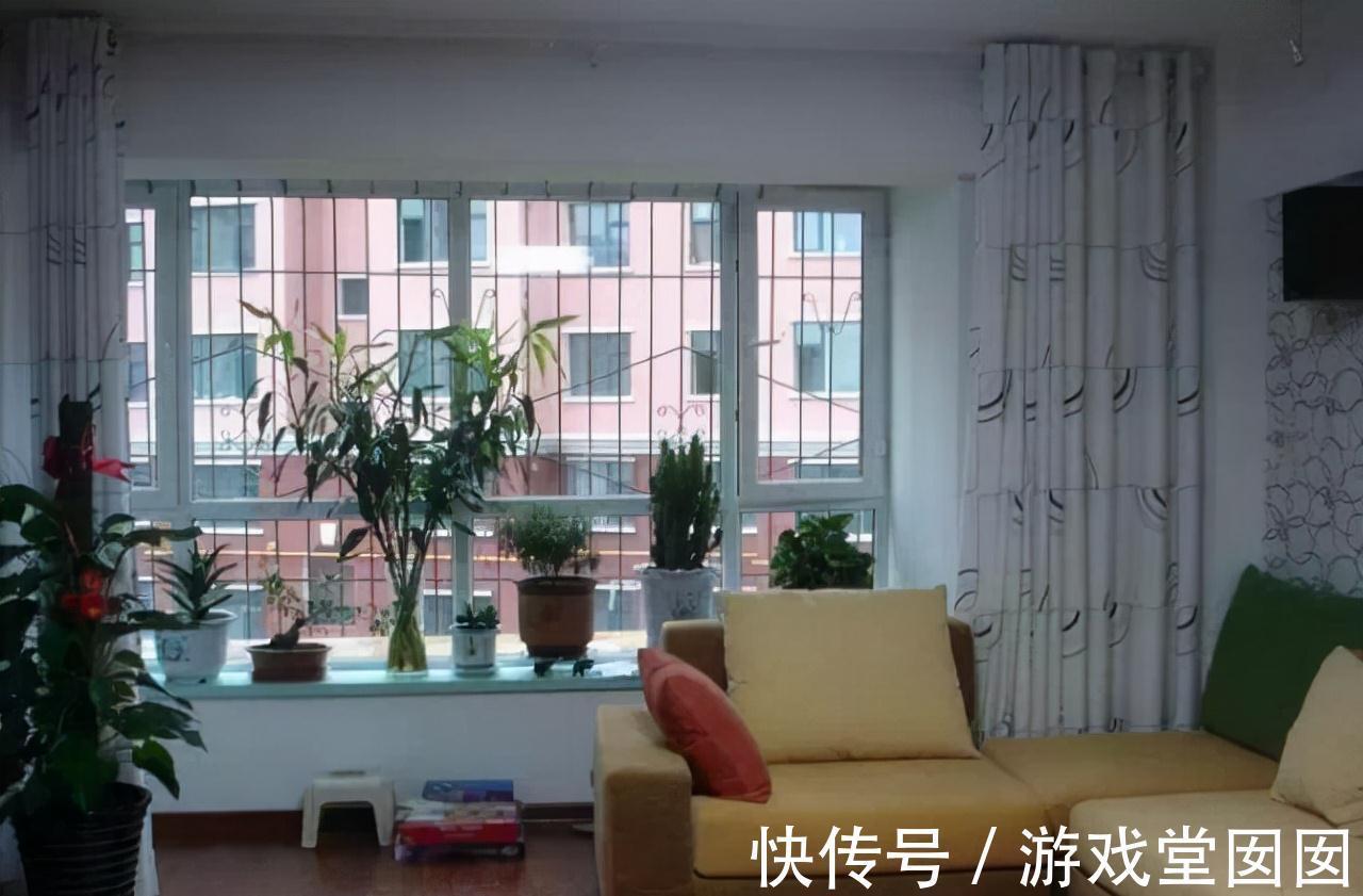 在家中这三个地方乱养花，说了也不听，难怪植物黄叶又烂根
