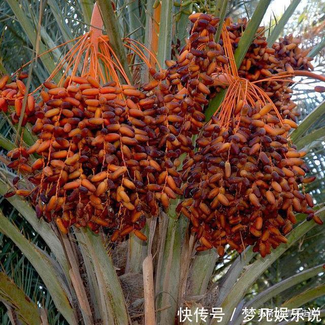 体重|女人腹部赘肉多,建议平时多吃这5种食物,体重蹭蹭掉回两位数