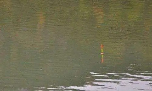 野钓调漂思路详解,了解这些,不愁钓不到鱼!