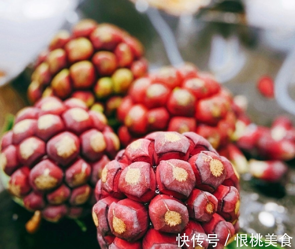 布福娜|海贼王里面恶魔果实，现实中真的存在？ 超市就买得到128元一个