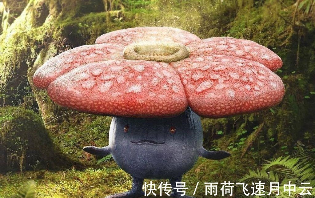 胖丁|精灵宝可梦“真人版”,妙蛙种子神似“蒜头”,还是喷火龙最霸气