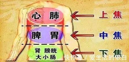 疑难杂症|搞懂了人体的“三焦”,所有疑难杂症,都可迎刃而解,建议收藏!