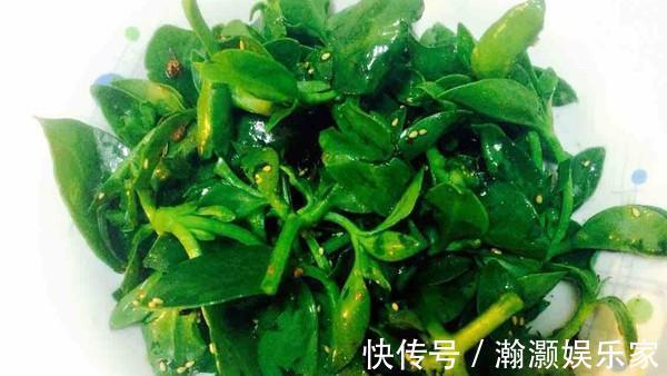 金耳钩|“天然阿莫西林”就是它,秋季常吃,强健体质,清热解毒