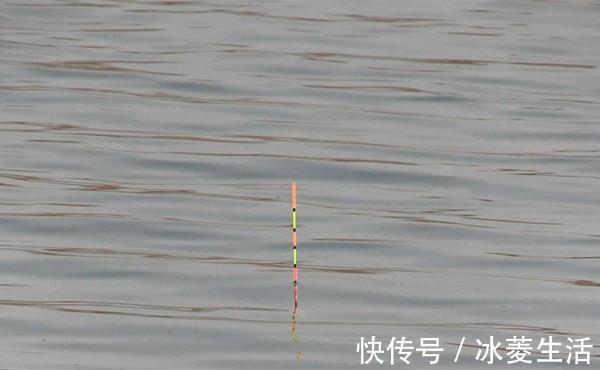 浮漂|钓鱼技巧:年底了,把调漂公式总结一下,不会调漂,对着公式学习