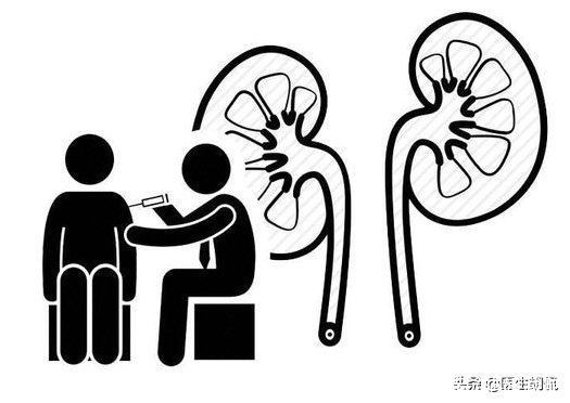 肾脏功能|预防尿毒症，这4类高发人群要多留个心眼，避免被“盯上”