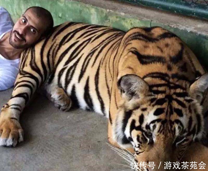 消失|当老虎从地球上消失,人类会受到什么影响专家后果难以想象