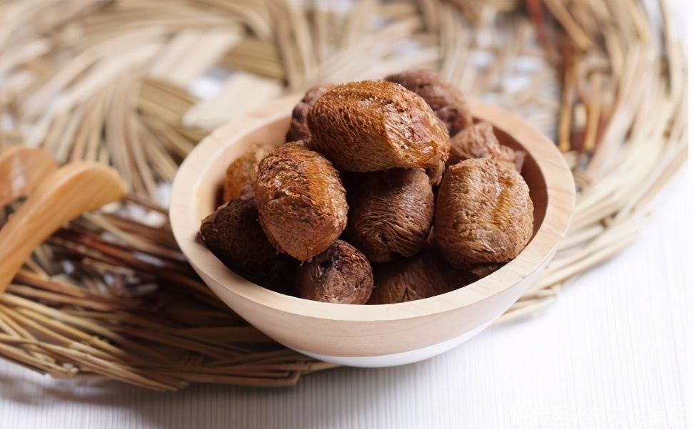  火烤|农村叫它树?狗?，很多人吃过，用火烤特香，今涨到200元1斤