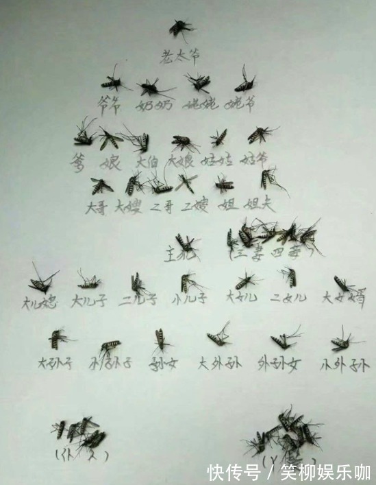 |开心笑话：单位开会，老po忽然来语音，我顺手点开了，也没减音量