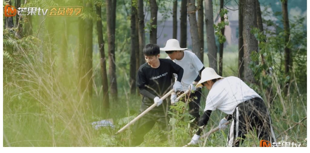 花絮|《向往5》迎来了最“心酸”的一批嘉宾,艰辛镜头全在未播花絮中