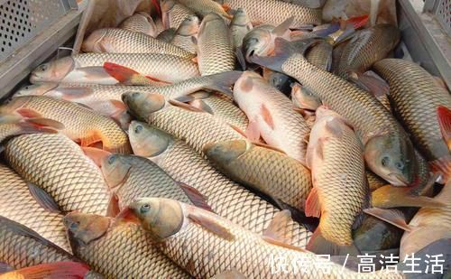 吃草鱼的最佳做法,鱼肉鲜香滑嫩、开胃下饭又解馋、吃一次就上瘾