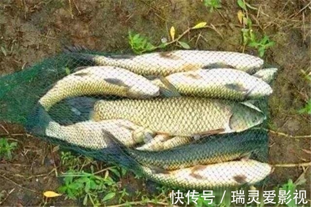 秋季钓鱼,分享几个“通杀型”饵料配方,野钓大鱼“专属”