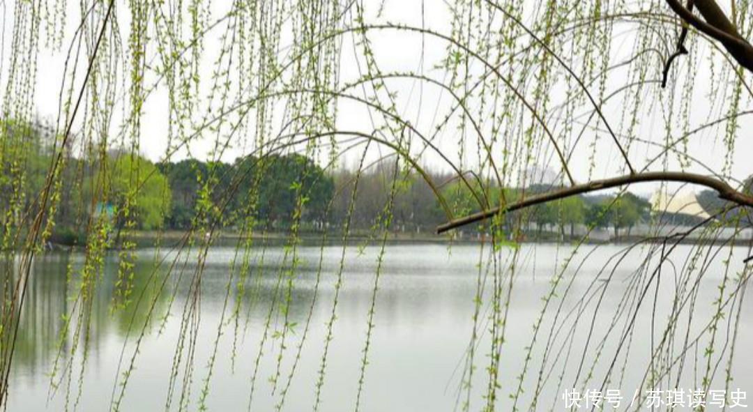 也成为|薛涛一首感人的爱情诗,细腻的笔触娓娓道来,写尽了相思之苦