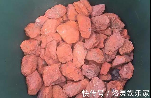 烂根|几种辅助养花小工具，放在盆底肥沃透气，花卉旺盛不烂根