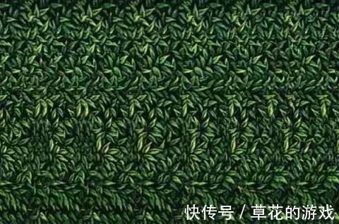 图片&25张裸眼3D图片,带你重温童年的记忆,感受3D的魅力!