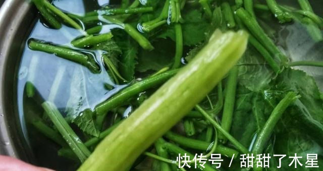 南瓜藤|农村这种南瓜藤遍地是无人问津，现在反倒成了香饽饽，你吃过吗！