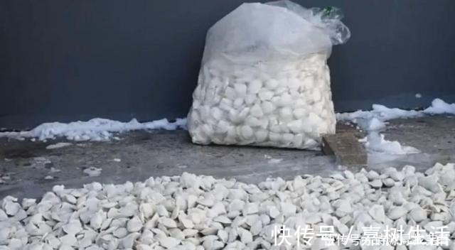 包饺子|北方的饺子馅,通用四种料,不腥不腻,真不用太复杂