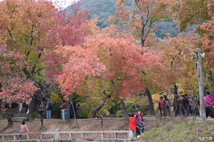 天平山|【喜迎国庆】停车坐爱枫林晚，霜叶红于二月花。游天平山赏枫叶