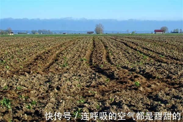 土地|已婚女子户口在娘家，土地确权有份吗听内行人说完，瞬间明白了