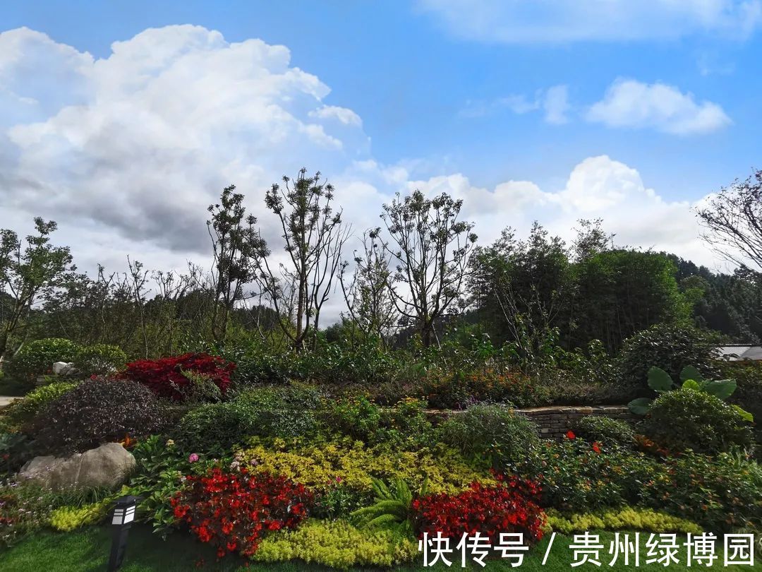 天坑|【展园风采】“山城”—重庆