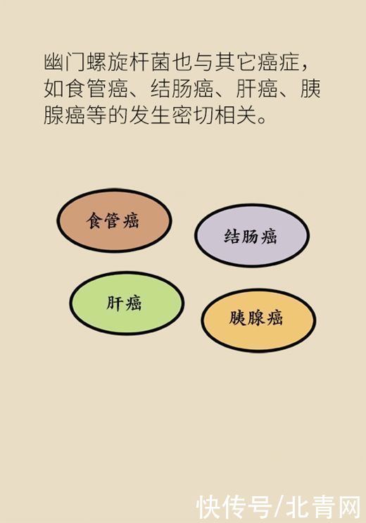 治病|杀菌就是治病？重新认识幽门螺旋杆菌和胃癌的关系
