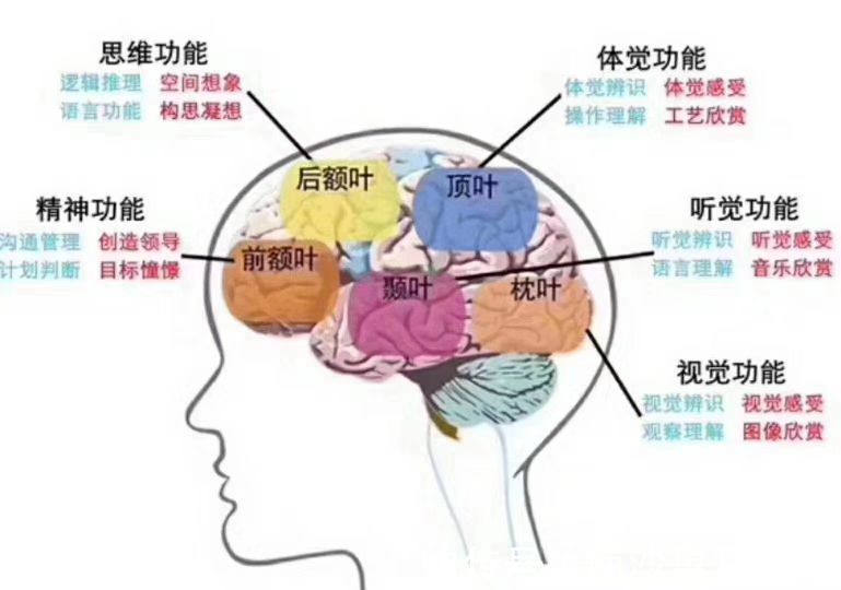 每个孩子|为什么听力损失儿童应尽早干预？