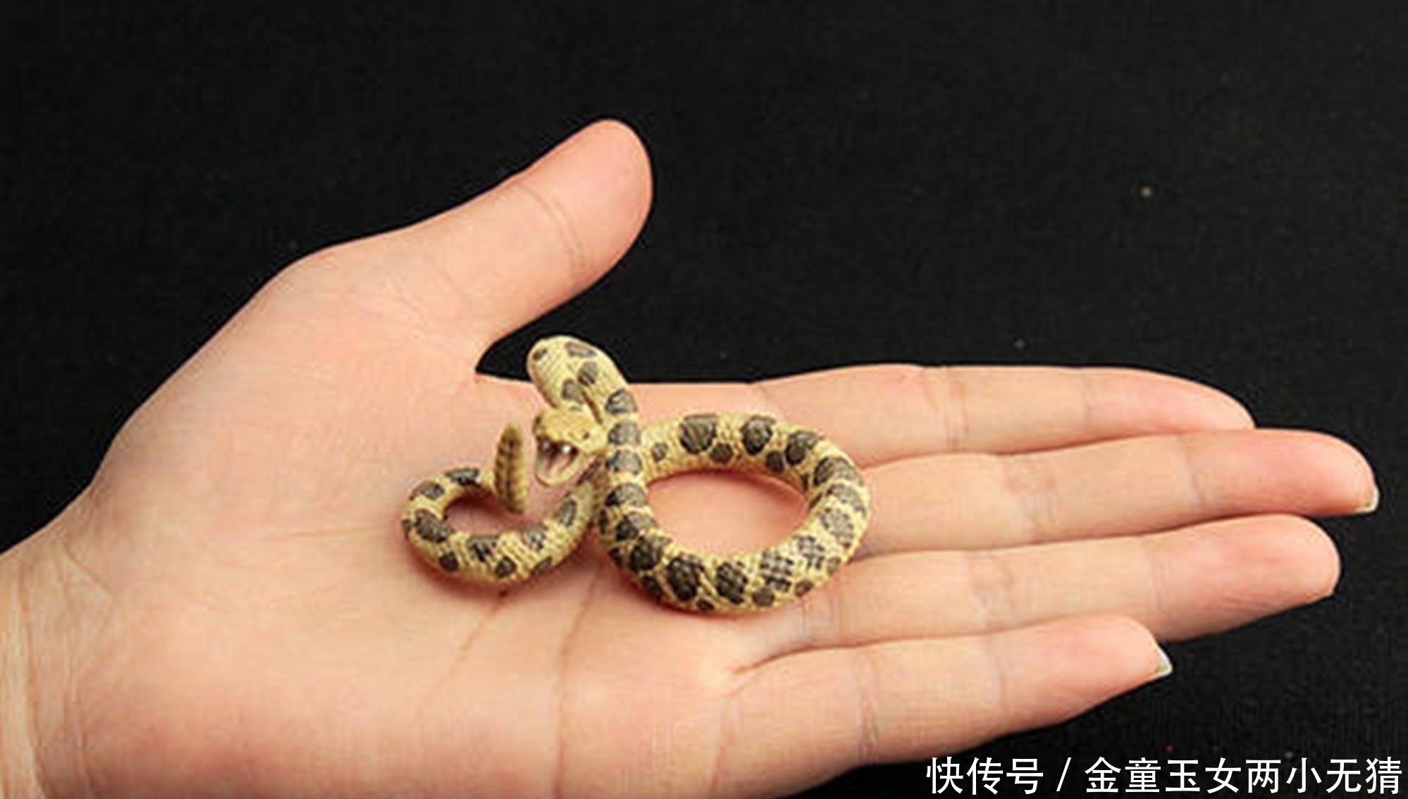 智商|李玫瑾:娃有这3种臭毛病,是“高智商”的表现,家长别盲目纠正