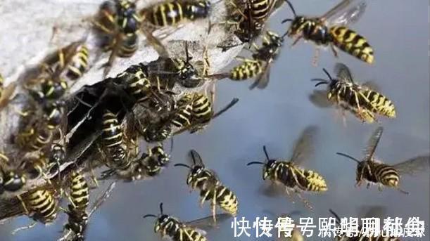 全球仅1国!用600吨垃圾,硬生生建了条高速公路,中国太厉害